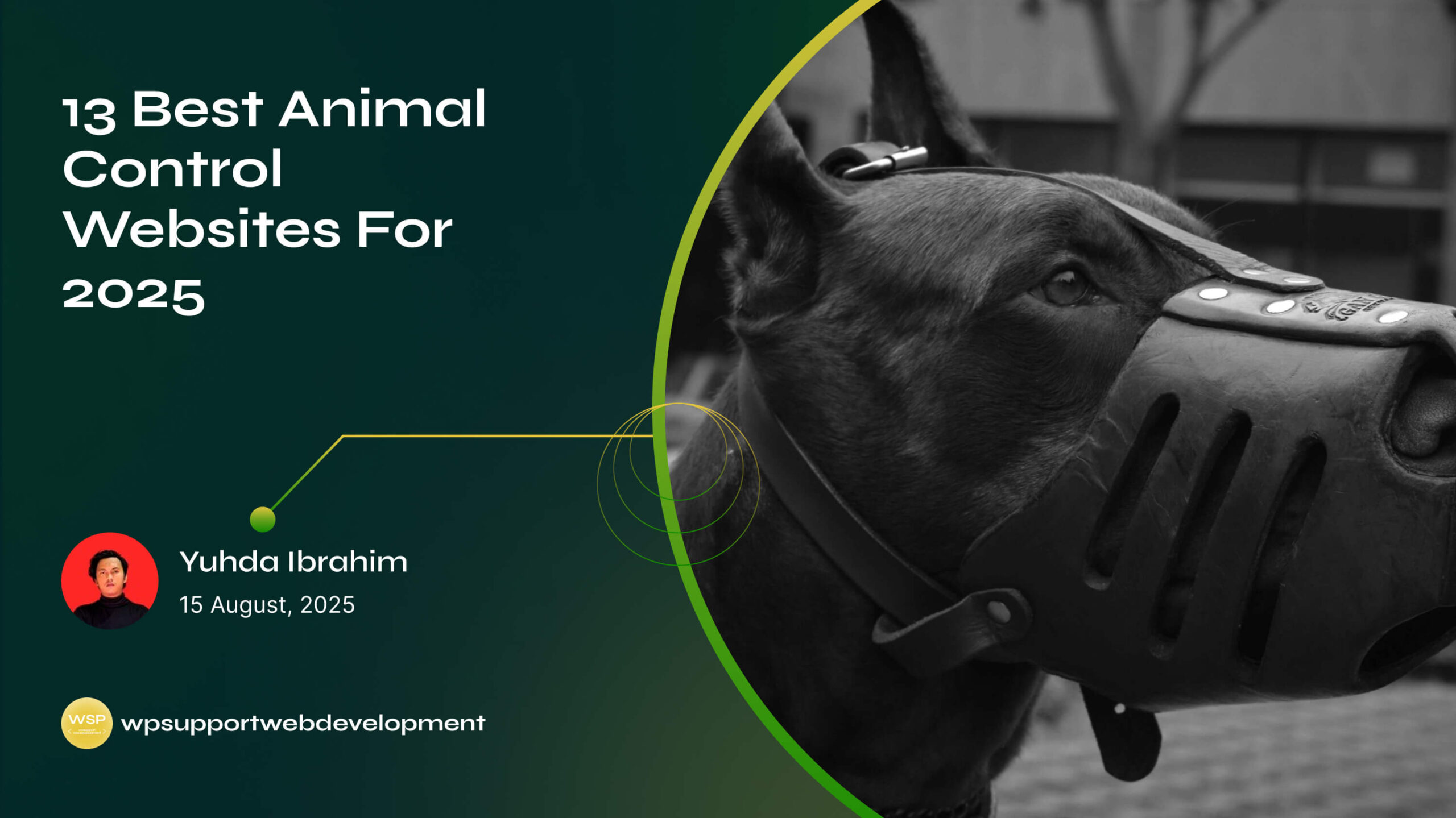 13 Best Animal Control Websites For 2025