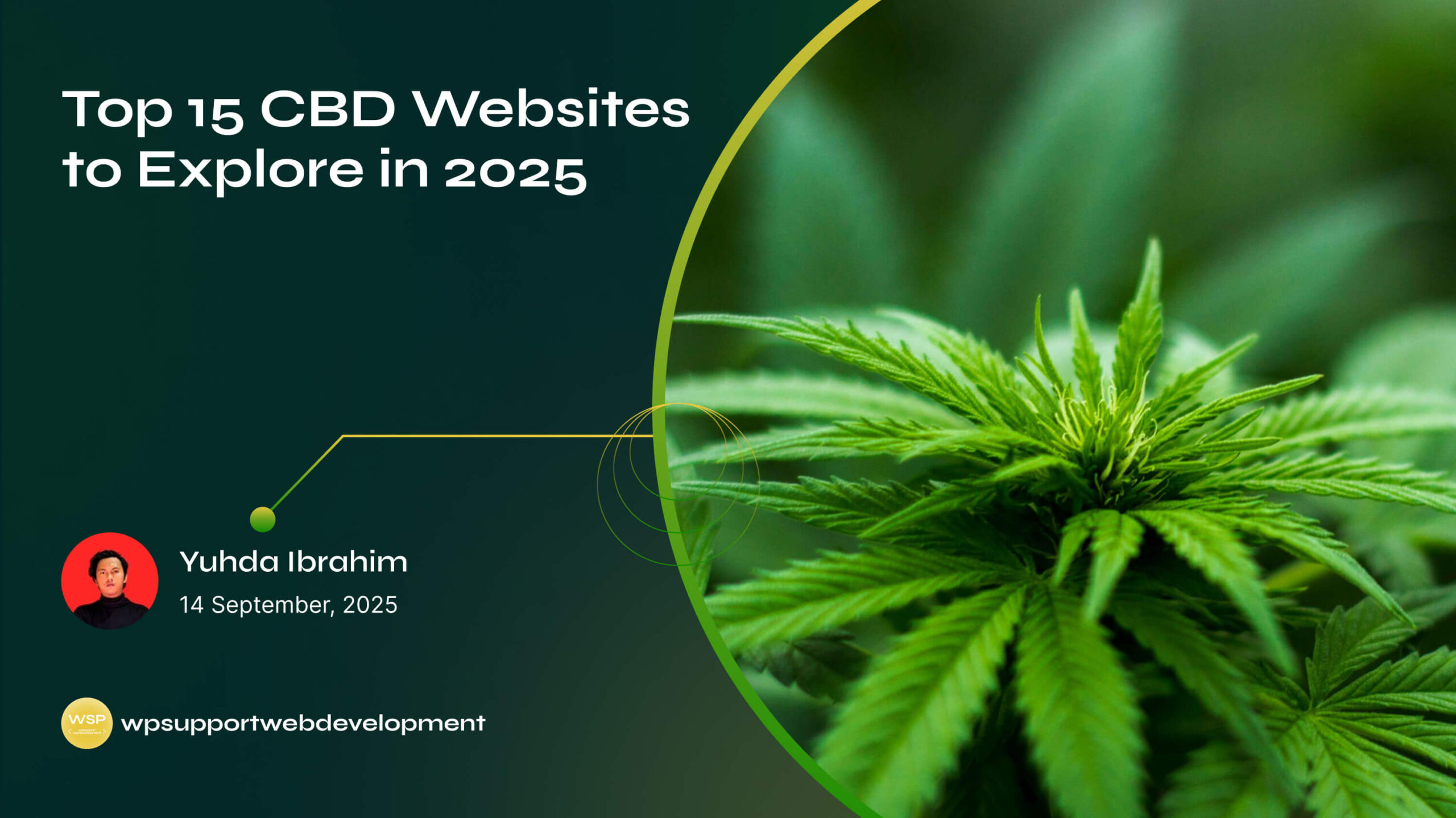 Top 15 CBD Websites to Explore in 2025
